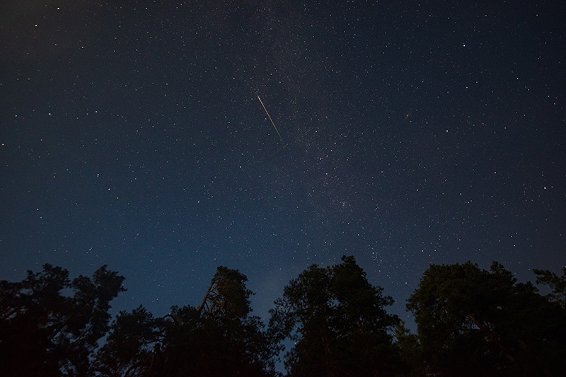 Perseids meteor showers, Saturn at opposition, and more Celestial